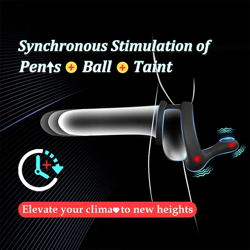 PR6 - Dual Motors Penis Testicle Taint Remote Control Cock Ring